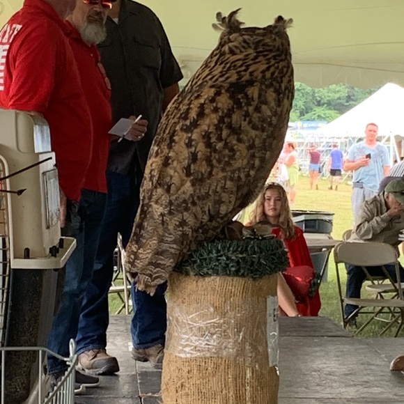 Owl Cap - Picture 6 of 7